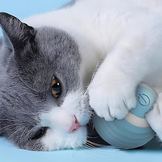 Pelota Inteligente Juguete Perros y Gatos
